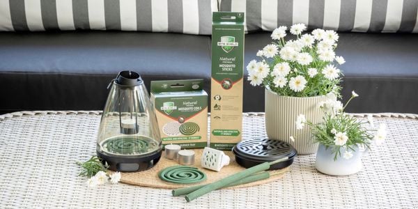 Bite shield products on an outdoor table