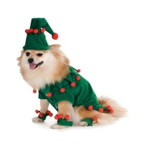 Animal Costumes
