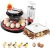 Advwin Automatic 12 Egg Incubator + Chicken Brooder Heating Plate