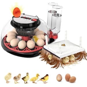 Advwin Automatic 12 Egg Incubator + Chicken Brooder Heating Plate