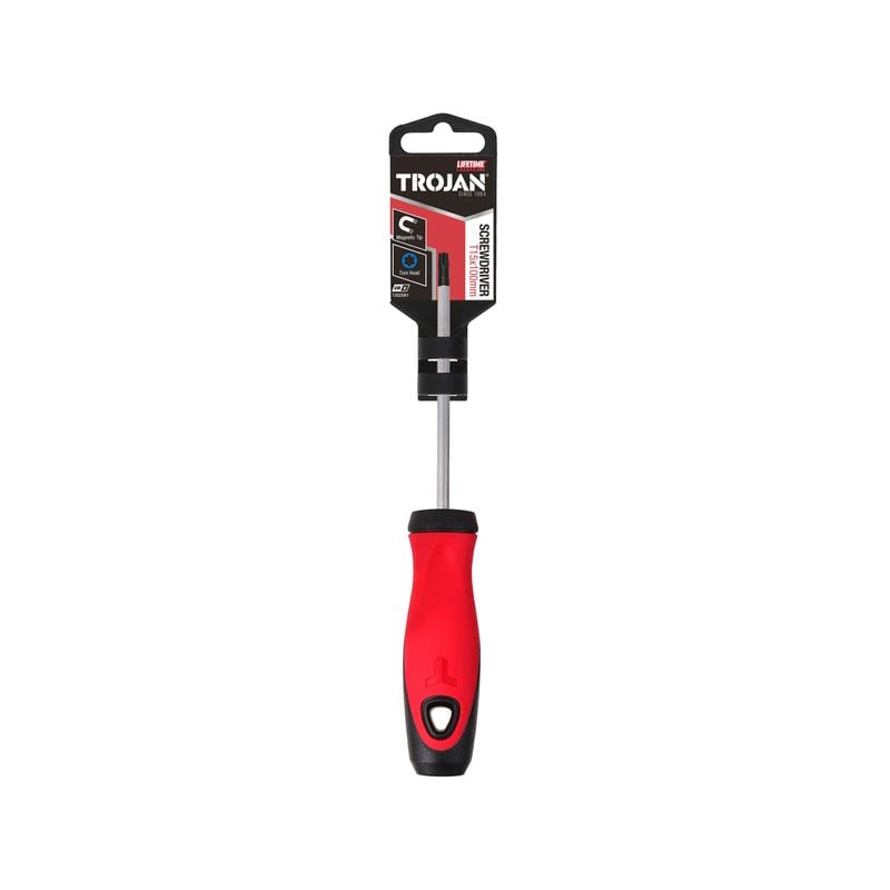 T15 x 100mm Torx Screwdriver