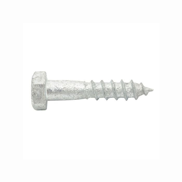 Zenith M8 x 40mm Hot Dipped Galvanised Coach Screw - Each