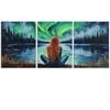 3pcs Northern Lights & Silhouette Aurora Print 100% Australian Made 3 x 40x60cm (Metal Print)