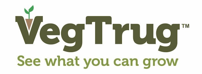 Vegtrug