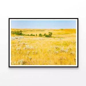Grassland in North Dakota  Print 100% Australian Made 90x60cm  (Poster)