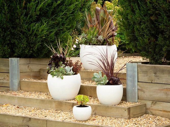 White round pots with plants