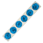 Blooms Of Joy 6cm Aquamarine Rose 6 pack