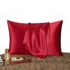 Anypillow Pillowcase 50x90cm Red Wine Natural Mulberry Silk