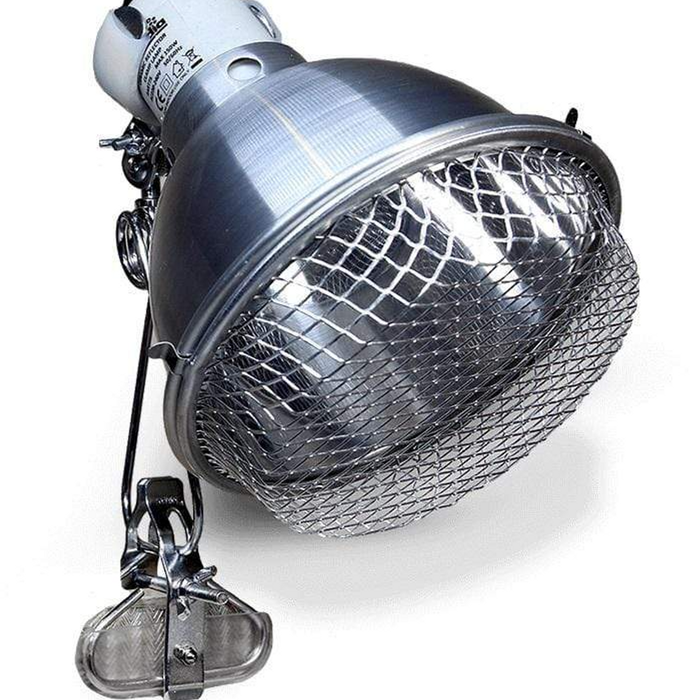 Arcadia Clamp Lamp + E27 Stainless Lampholder - 14cm (mf56868)