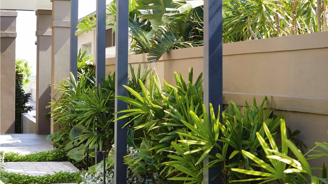 Metal square arches following a grey tiled pathway with green foliage either side.