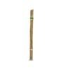 Brunnings 120cm Natural Bamboo Garden Stakes - 20 Pack - 1200mm