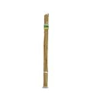 Brunnings 120cm Natural Bamboo Garden Stakes - 20 Pack - 1200mm