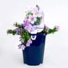 150mm Bacopa Blue Garden Jewels