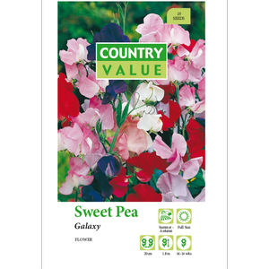 Country Value Galaxy Sweet Pea Flower Seeds