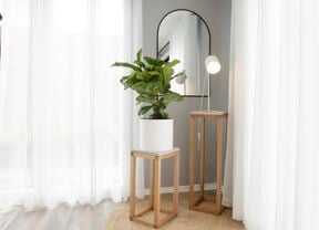 DIY Advice Image - How to grow and care for a fiddle leaf fig . G Drive blob storage upload.
