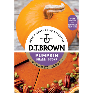 D.T. Brown Gourmet Pumpkin Small Sugar Seeds
