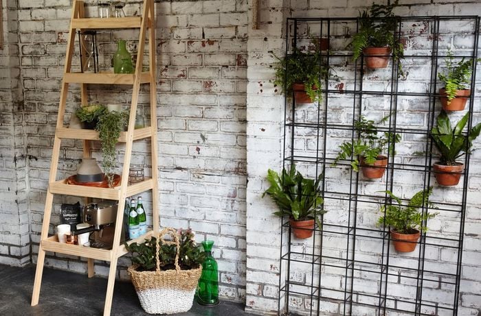 A wooden ladder-style rack with plants and crockery against a brick wall