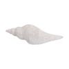 Lvd Conch Shell Washed Resin Sea Statue Indoor/outdoor Decor 27.5x9x8cm