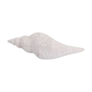 Lvd Conch Shell Washed Resin Sea Statue Indoor/outdoor Decor 27.5x9x8cm