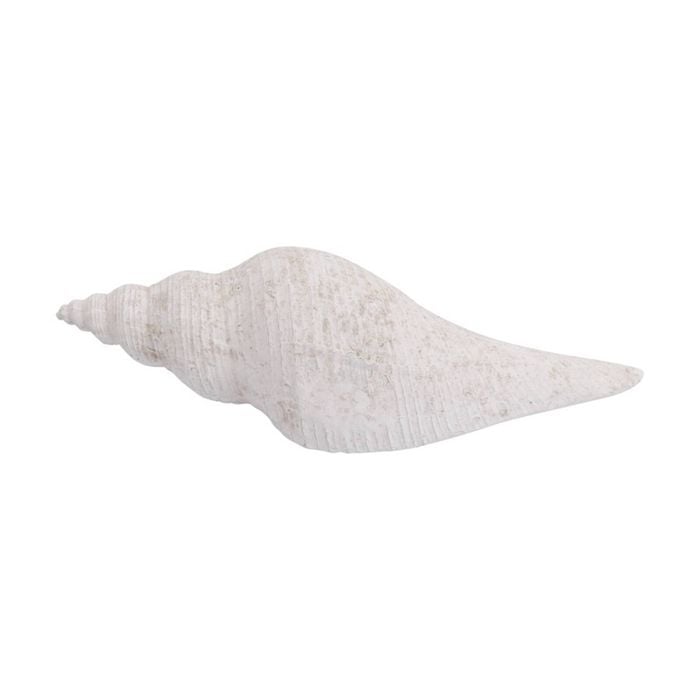 Lvd Conch Shell Washed Resin Sea Statue Indoor/outdoor Decor 27.5x9x8cm