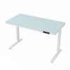 Ufurniture Electric Standing Desk with Drawer,One-Piece Glass Desktop with USB & Type C Charging Station White, 120x60cm