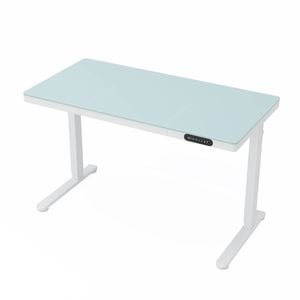 Ufurniture Electric Standing Desk with Drawer,One-Piece Glass Desktop with USB & Type C Charging Station White, 120x60cm