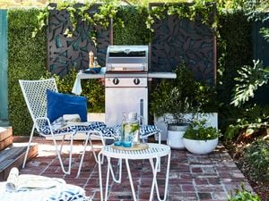 DIY Advice Image - How to choose a garden screen . G Drive blob storage upload.