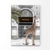 Girrafe and Fashion Store  Print 100% Australian Made 50 x 75cm  (Stretched)