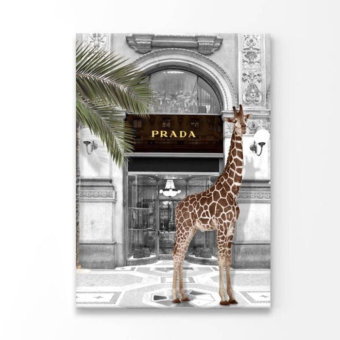 Girrafe and Fashion Store  Print 100% Australian Made 50 x 75cm  (Stretched)