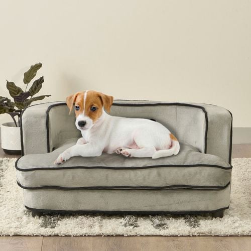 Enchanted home dog bed hotsell