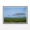 Grassy Field with Trees & Mist  Print 100% Australian Made 120x90cm  (Poster)