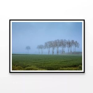Grassy Field with Trees & Mist  Print 100% Australian Made 120x90cm  (Poster)