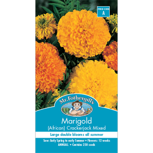 Mr Fothergill's Seed Marigold Crackerjack (African)