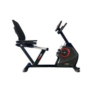 York RB420 Recumbent Bike
