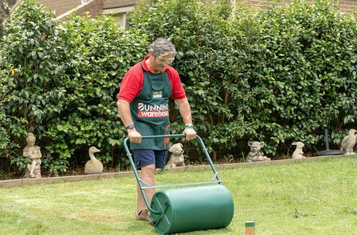 Bunnings team member using a garden roller on the lawn