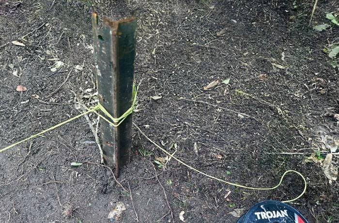 A stake in soil with measuring stringline tied to it surrounded by greenery