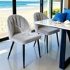 Bribrion X2 Dining Chairs Water And Scratching Resistant Padded Seat Grey