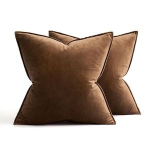 Catzon 2 Pcs Decorative Velvet Throw Pillow Covers Soild for Home Car 60X60cm-Dark Coffee