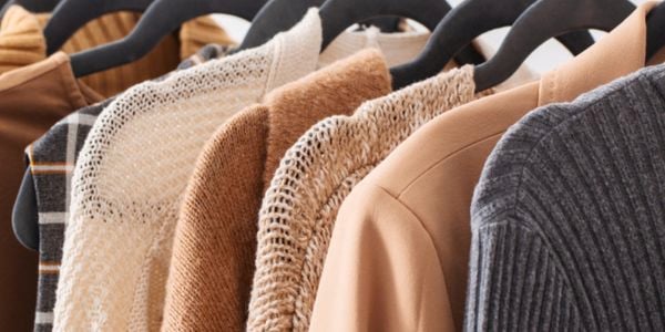 Clothes moths are tiny moths that produce larvae which feed on our natural fibre clothes and furnishings
