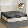Oikiture Bed Frame Queen Mattress Set Gas Lift ADI