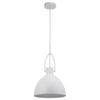 Mercator Terrence 1-Light Pendant
