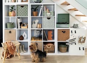 Shelving unit underneath a staircase, with baskets, pot plants and a dog in front of the shelving.
