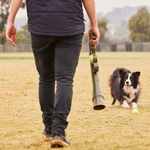 A man holding a tennis ball launcher with a dog waiting.