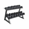 Heavy Duty 2 Tier Rubber Hex Dumbbell Storage Rack