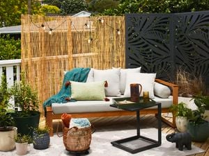Fenced backyard with lawn, plants and outdoor barbeque