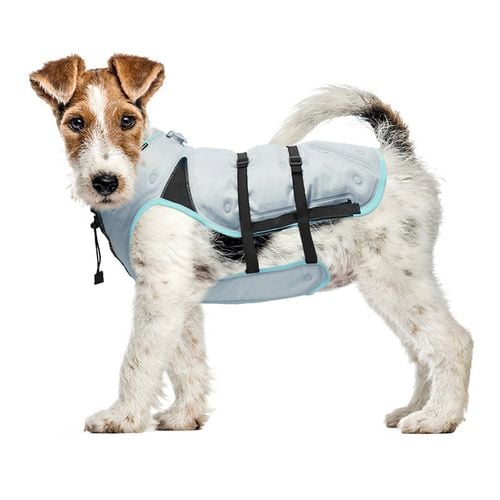 K9 cooling vest sale