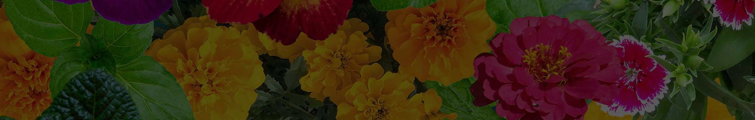 Spring floral background