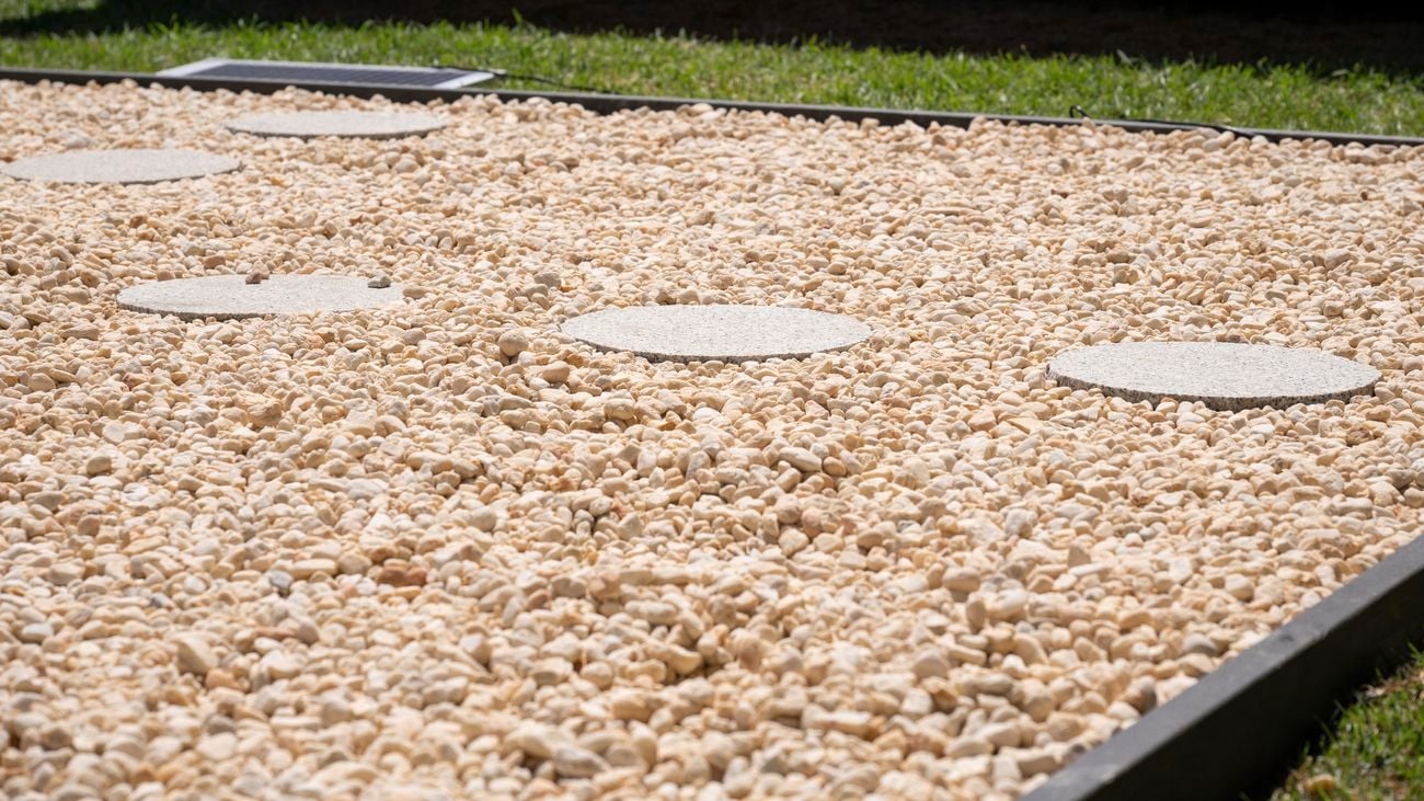 pebbled pathway in a garden