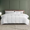 Dreamz 400GSM Microfiber Quilt King Single