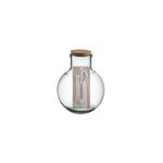 Ladelle Eco Recycled 31cm Glass Aran Terrarium - Clear